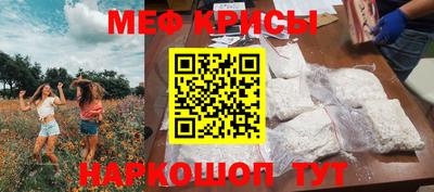 гашик Будённовск