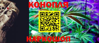 гашик Будённовск